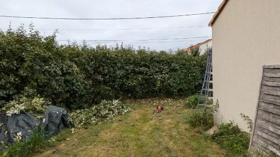 before-image